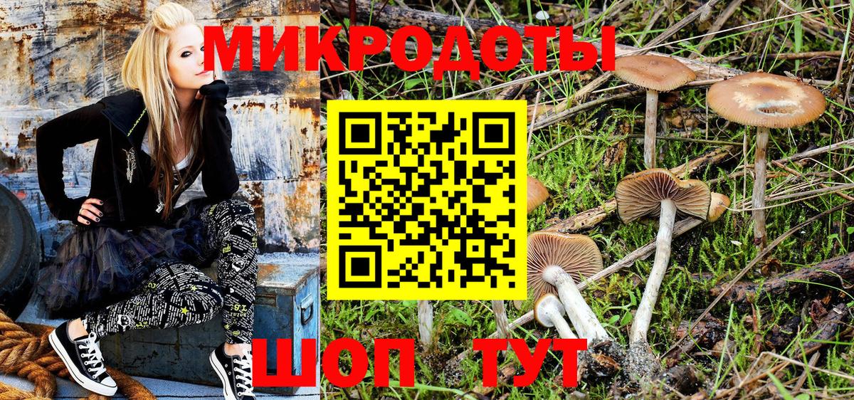 Псилоцибиновые грибы Psilocybe Медногорск